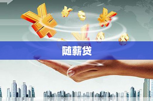新林随薪贷