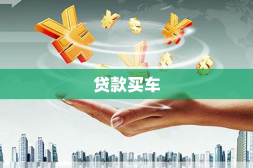 新林贷款买车