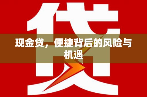 新林现金贷，便捷背后的风险与机遇
