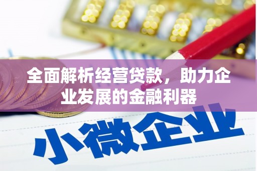 新林全面解析经营贷款，助力企业发展的金融利器