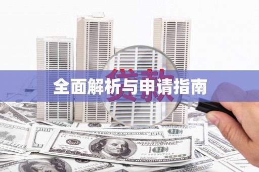 新林全面解析与申请指南