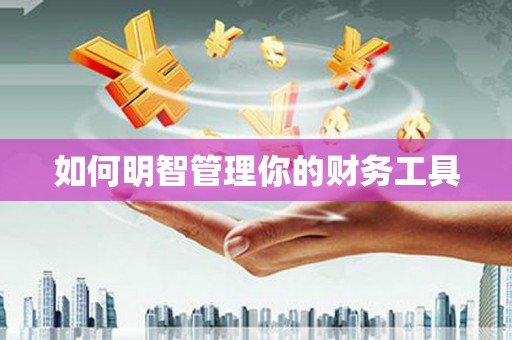 新林如何明智管理你的财务工具