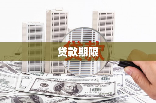 新林贷款期限