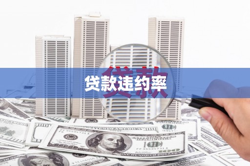 新林贷款违约率