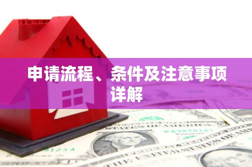 新林申请流程、条件及注意事项详解