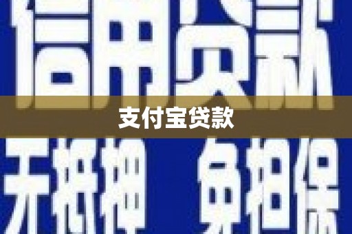 新林支付宝贷款