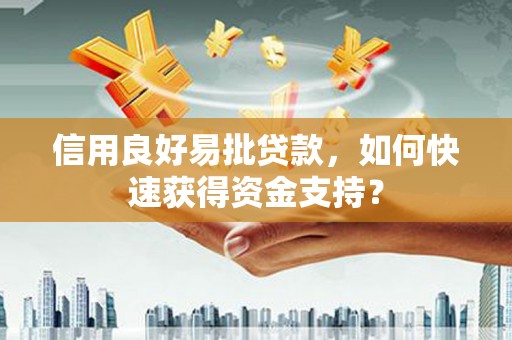 新林信用良好易批贷款，如何快速获得资金支持？
