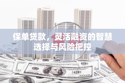 新林保单贷款，灵活融资的智慧选择与风险把控