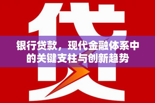 新林银行贷款，现代金融体系中的关键支柱与创新趋势