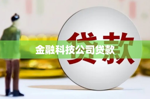 新林金融科技公司贷款