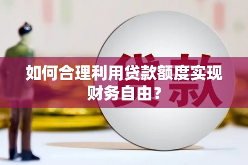 新林如何合理利用贷款额度实现财务自由？