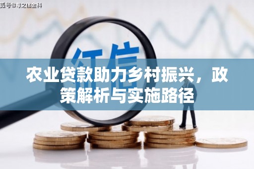 新林农业贷款助力乡村振兴，政策解析与实施路径