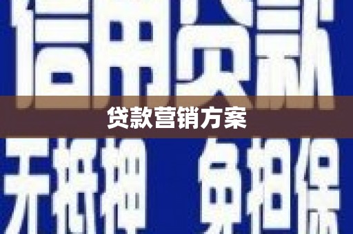 新林贷款营销方案