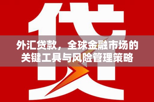 新林外汇贷款，全球金融市场的关键工具与风险管理策略