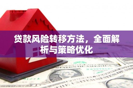 新林贷款风险转移方法，全面解析与策略优化