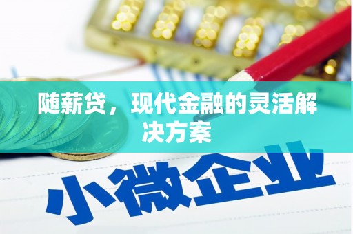 新林随薪贷，现代金融的灵活解决方案