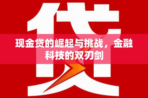 新林现金贷的崛起与挑战，金融科技的双刃剑