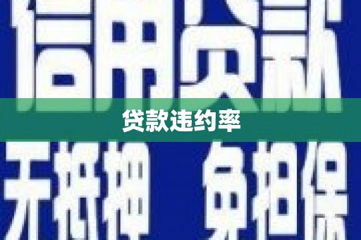 新林贷款违约率