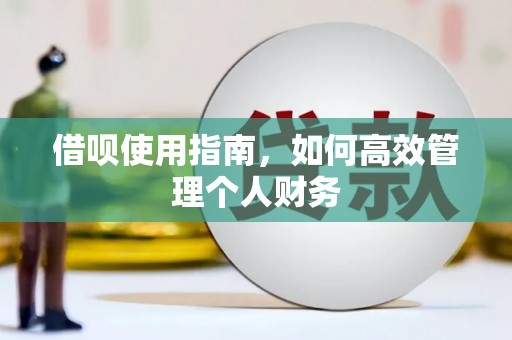 新林借呗使用指南，如何高效管理个人财务