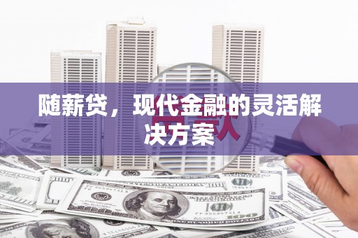新林随薪贷，现代金融的灵活解决方案