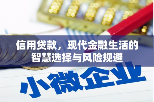 新林信用贷款，现代金融生活的智慧选择与风险规避