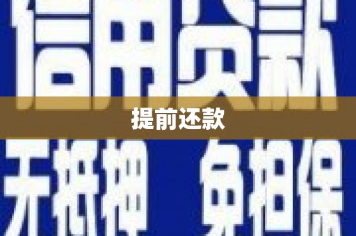 新林提前还款