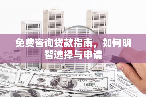 新林免费咨询贷款指南，如何明智选择与申请