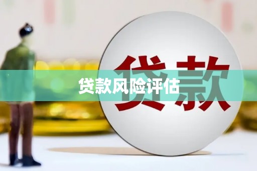 新林贷款风险评估
