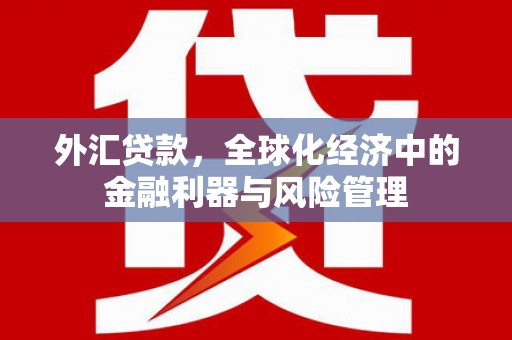 新林外汇贷款，全球化经济中的金融利器与风险管理