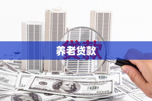 新林养老贷款
