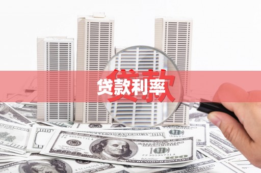 新林贷款利率