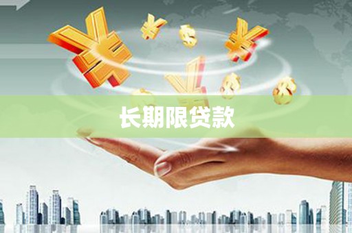 新林长期限贷款
