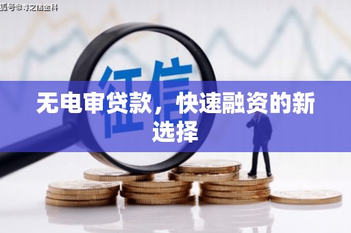 新林无电审贷款，快速融资的新选择