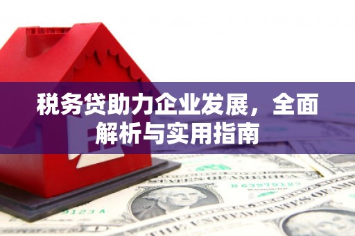 新林税务贷助力企业发展，全面解析与实用指南
