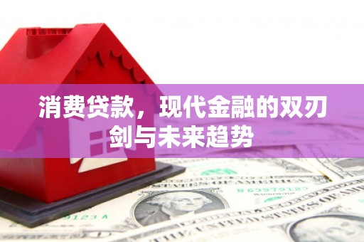 新林消费贷款，现代金融的双刃剑与未来趋势