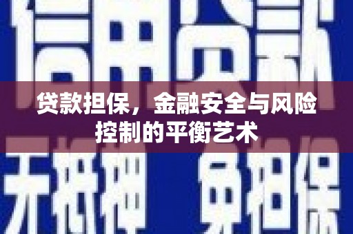 新林贷款担保，金融安全与风险控制的平衡艺术