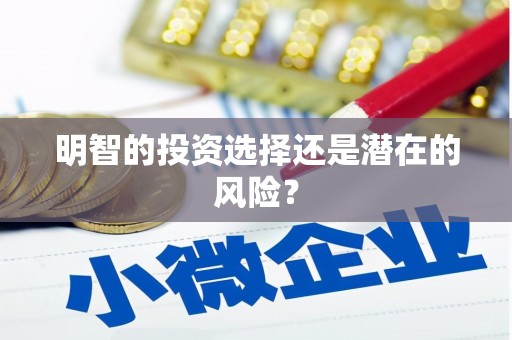 新林明智的投资选择还是潜在的风险？