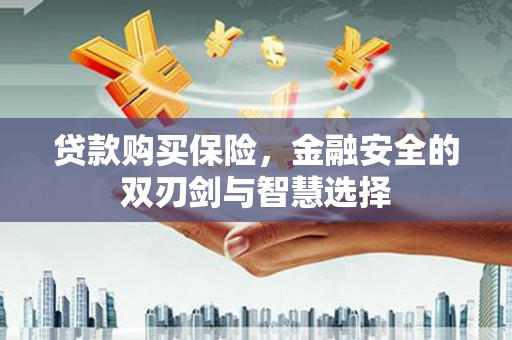 新林贷款购买保险，金融安全的双刃剑与智慧选择