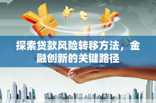 新林探索贷款风险转移方法，金融创新的关键路径