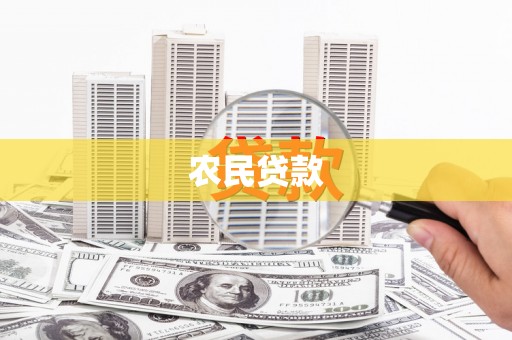 新林农民贷款