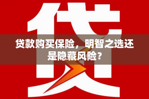新林贷款购买保险，明智之选还是隐藏风险？