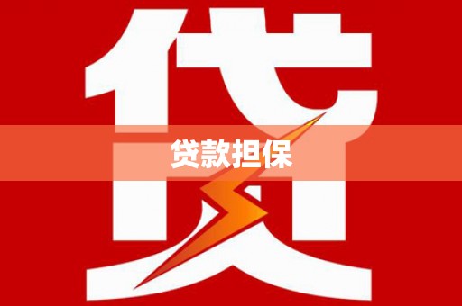 新林贷款担保