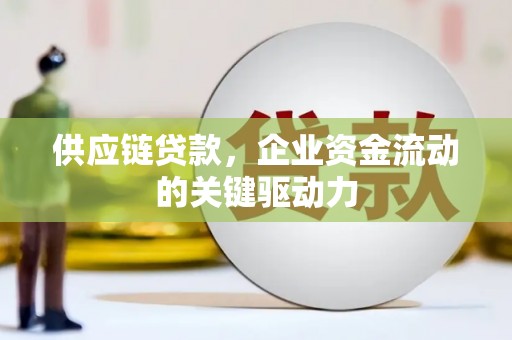 新林供应链贷款，企业资金流动的关键驱动力