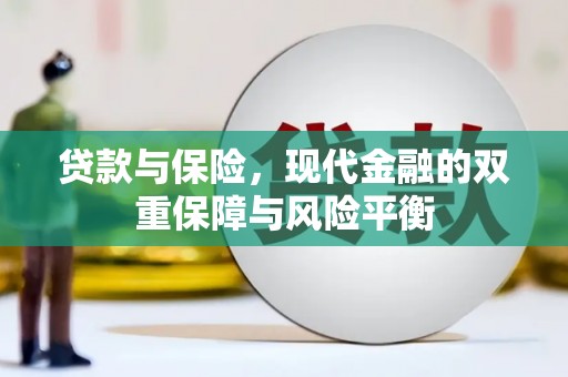 新林贷款与保险，现代金融的双重保障与风险平衡