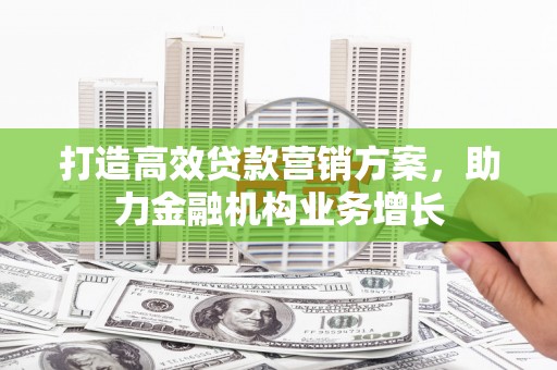 新林打造高效贷款营销方案，助力金融机构业务增长