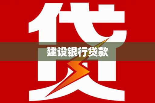 新林建设银行贷款