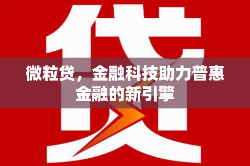 新林微粒贷，金融科技助力普惠金融的新引擎