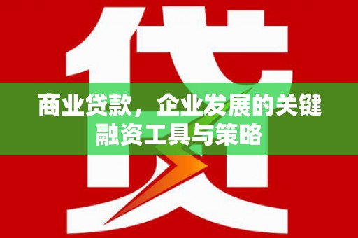 新林商业贷款，企业发展的关键融资工具与策略