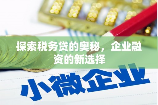 新林探索税务贷的奥秘，企业融资的新选择