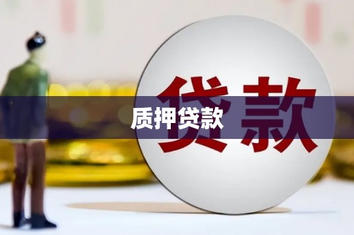 新林质押贷款